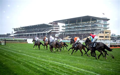 cheltenham horse racing tips|Latest Horse Racing Tips for Cheltenham .
